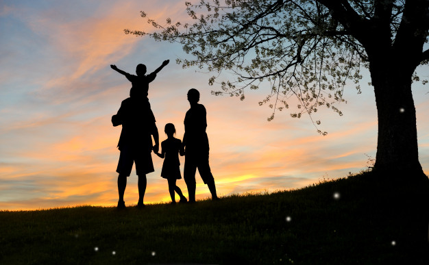 Constelaciones Familiares | Libreria Albareda Zaragoza