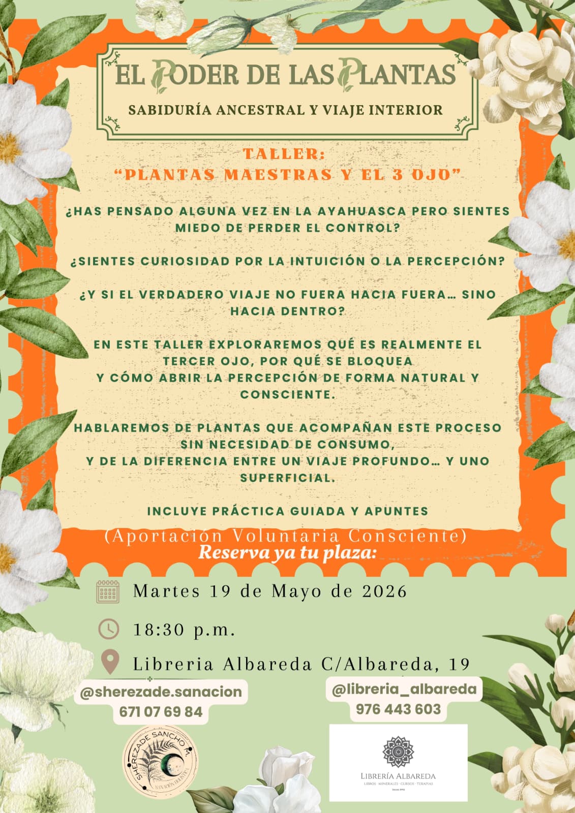 WhatsApp Image 2026-04-14 at 10.35.06